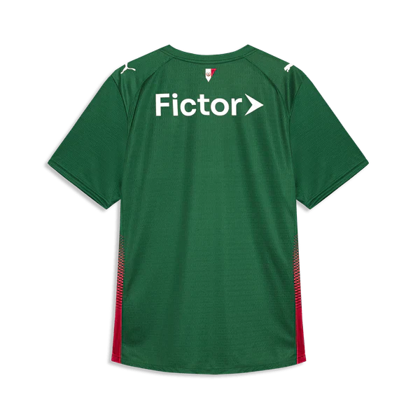 Palmeiras 2026 I Home Jersey - Fan Version