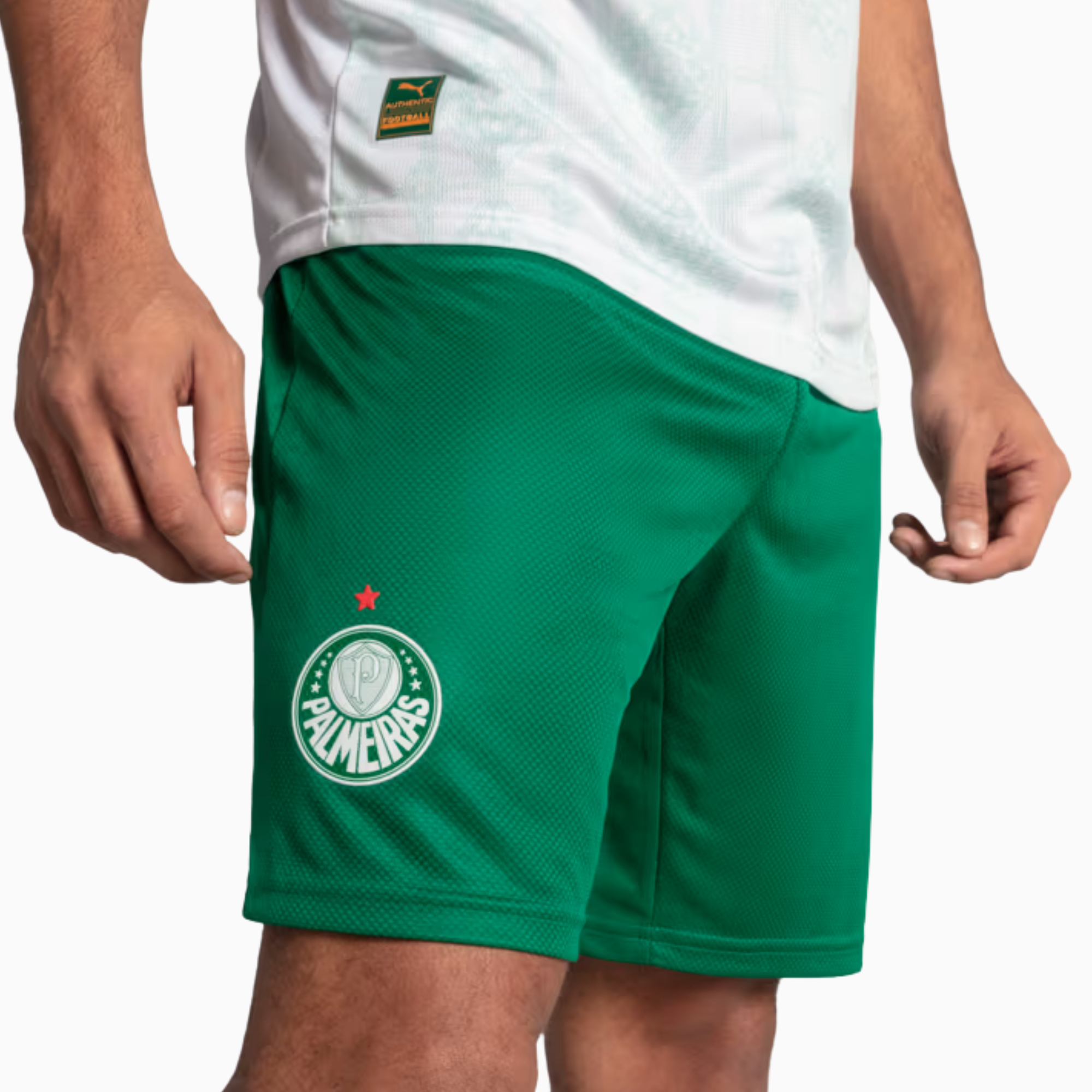 Shorts Palmeiras 2025 II โ Fan Version