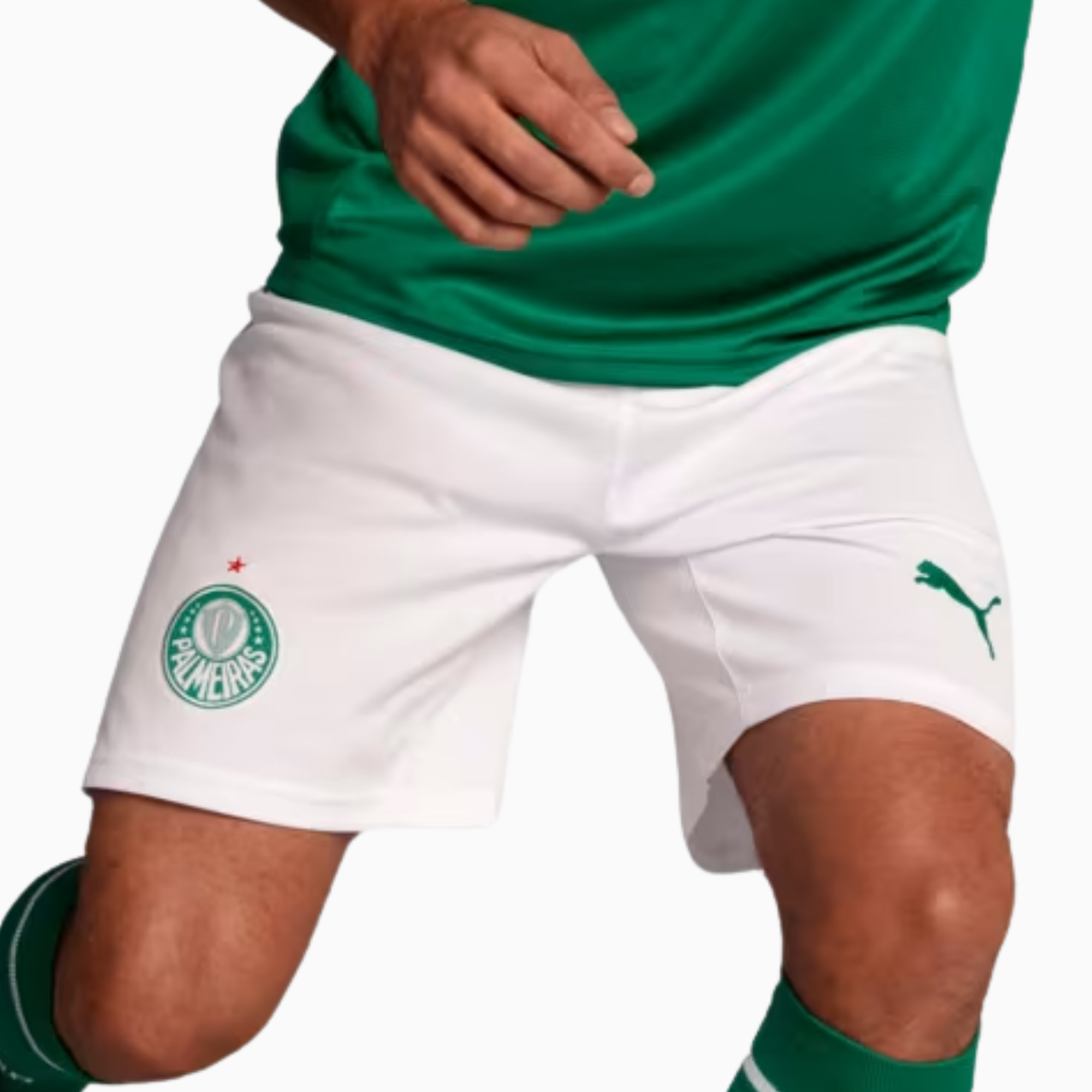 Shorts Palmeiras 2025 I โ Fan Version