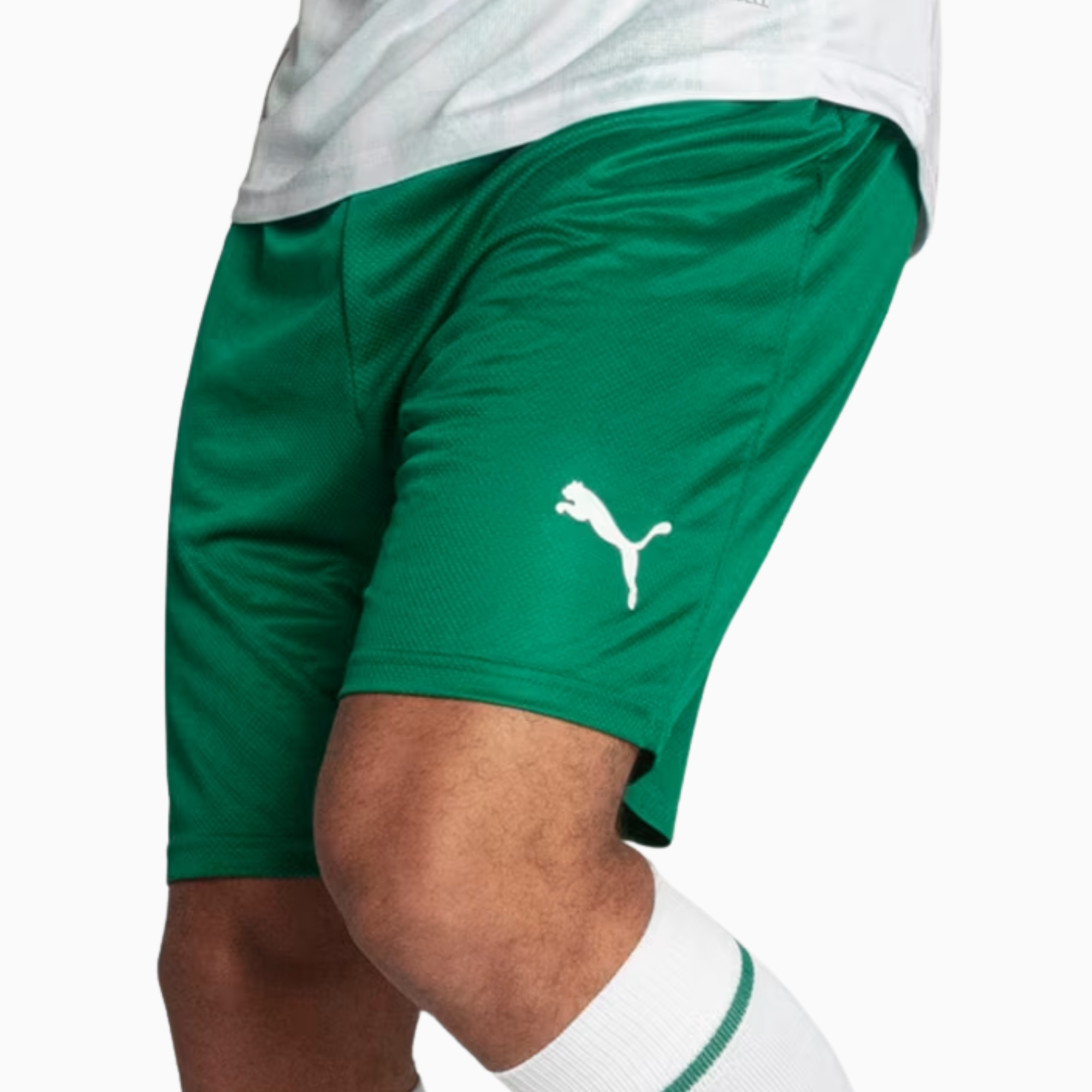 Shorts Palmeiras 2025 II โ Fan Version