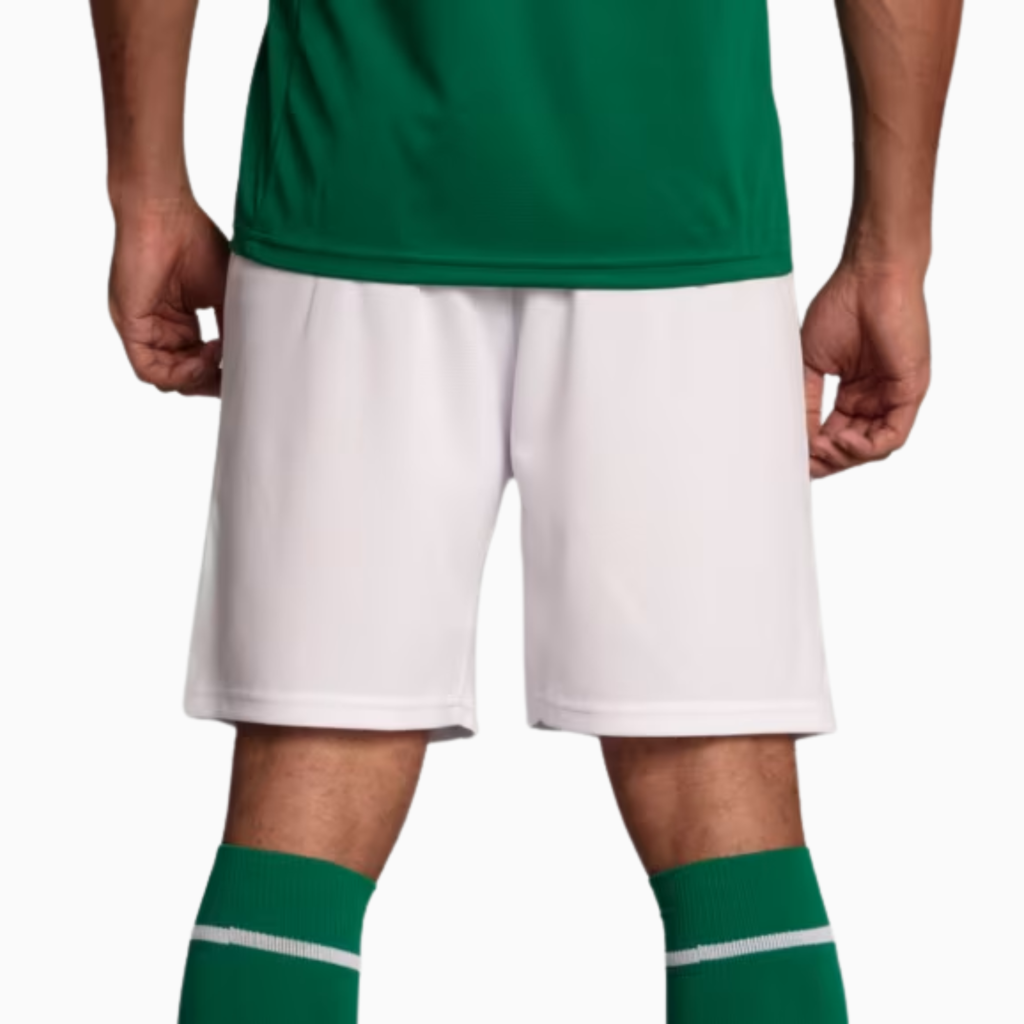 Shorts Palmeiras 2025 I โ Fan Version
