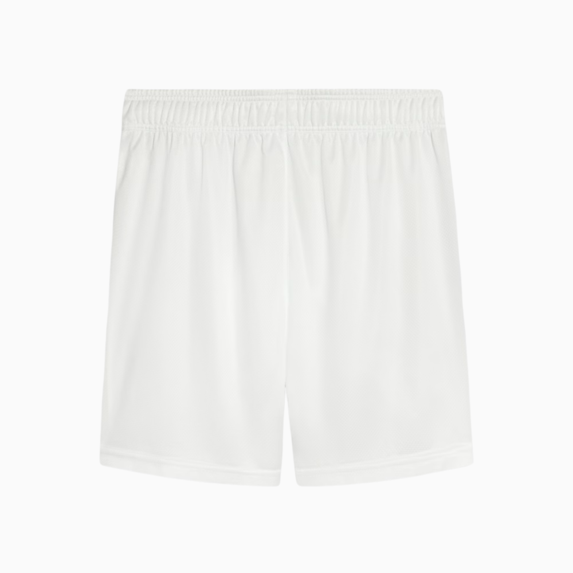 Shorts Palmeiras 2025 I – Fan Version